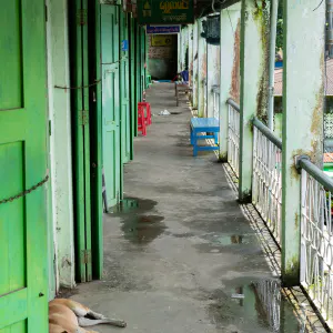 閑散とした廊下の端で昼寝する犬