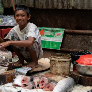 Boy selling fish