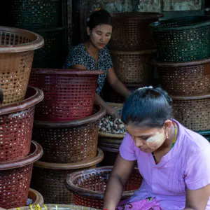 Women working among basket filled with Quail eggs