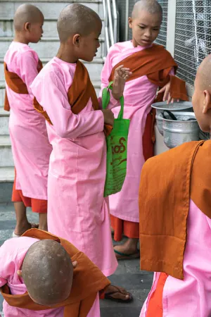 Little Buddhist nuns wearing pink Kasaya