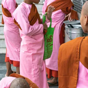 Little Buddhist nuns wearing pink Kasaya