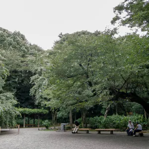 People relaxing under the trees in Rikugien Garden