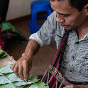 Man putting betel nuts on betel leaves
