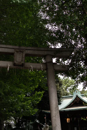Torii and prayer hall in Koyama Hachiman Jinja Shrine