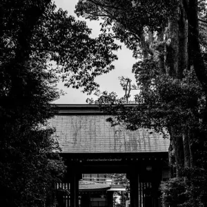 Gate between trees in Samukawa Jinja