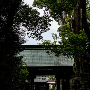 寒川神社の木に挟まれた南門