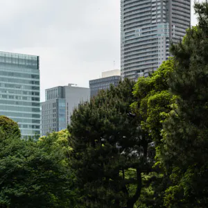 浜離宮でピクニックをする親子