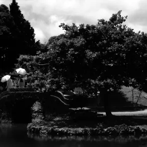 Three umbrellas on stone bridge in Shikinaen garden