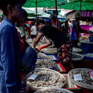 Shrimps sold in Khlong Toei Market