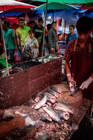 Man cutting fishes in Khlong Toei Market