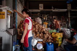 Heap of coconuts in Khlong Toei Market