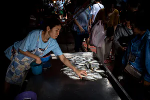 メークロン線路市場で魚を売る女性