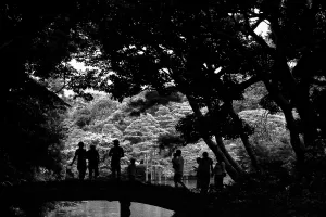 Many silhouettes on bridge in Rikugien garden