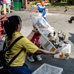 Ritual of releasing birds taking place in the precinct of Jin De Yuan