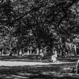 Young woman reading book in Yoyogi park