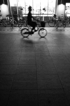 夜道を走る自転車