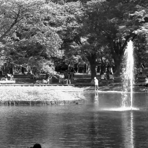 Kids on edge of water in Yoyogi Park