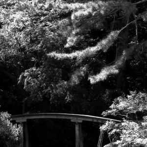 栗林公園の木の橋
