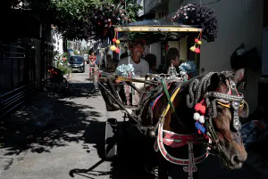 Horse-drawn carriage in a residential area