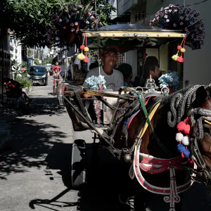 Horse-drawn carriage in a residential area