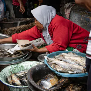 Fishmonger in Kanoman market