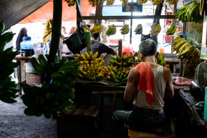 Banana specialty store in Kanoman market