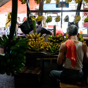 Banana specialty store in Kanoman market