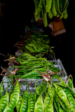 Petai sold in the Kanoman market