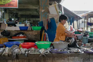 カノマン市場の魚屋