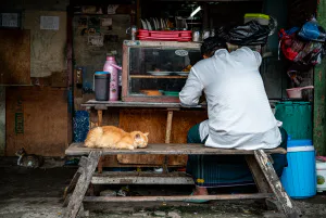 Man eating alongside a cat