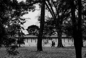 Figures walking through the trees of Kyoto Gyoen