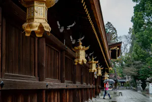 Golden lanterns at Kitano Tenmangu Shrine