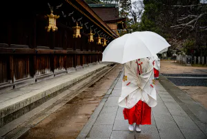 Shinto priestess with an umbrella walking through Kitano Tenmangu Shrine