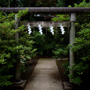 鳩森八幡神社の鳥居