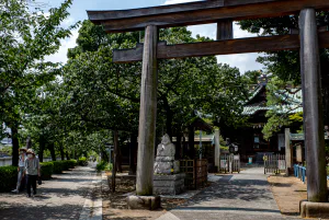 Torii gate of Ebara Jinja