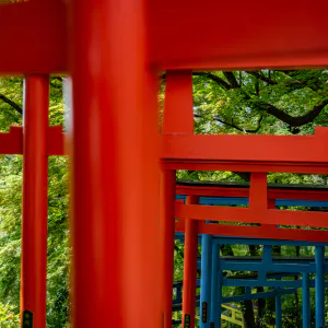 Red Torii Gate and Blue Torii Gate