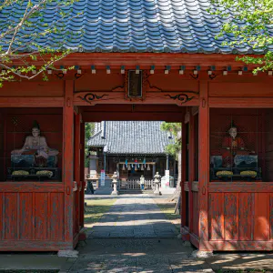 Zuishinmon Gate of Akatsuka Suwa Shrine