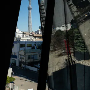 すみだ北斎美術館から見える東京スカイツリー