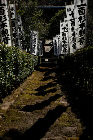 Sugimoto-dera\'s moss-covered stone steps