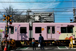 Pink Keio Line crossing a railroad crossing