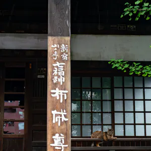 太宗寺でくつろぐ猫