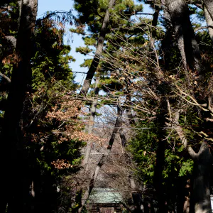 Approach to Joshin-ji Temple