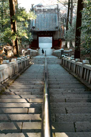 Long stone steps at Daruma-ji Temple