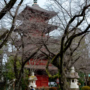 中山法華経寺の五重塔