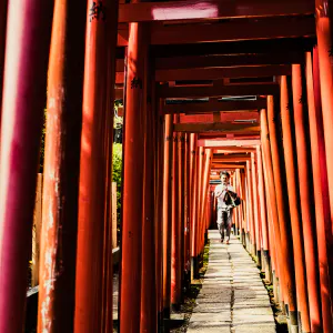 Senbon-torii at Nezu Jinja Shrine