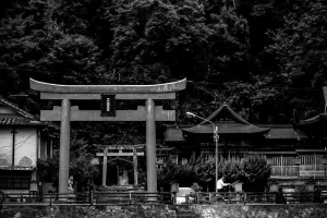 千代稲荷神社の鳥居