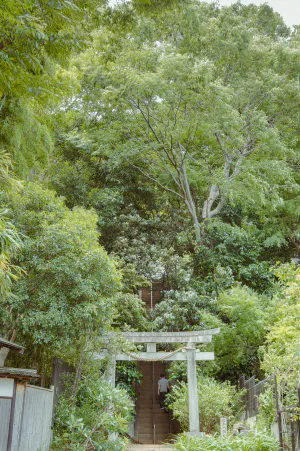 岡本八幡神社の鳥居