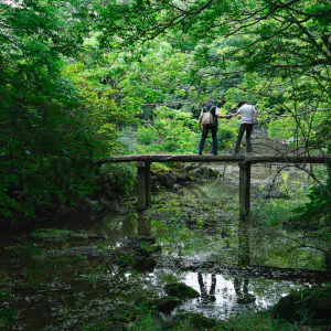 小浜池の石橋を渡るカップル