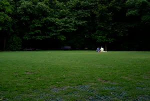 Lawn in Kakitagawa Park