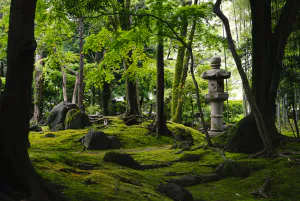 Ryusenen Garden at Sano Art Museum